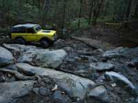 tellico1005-53.jpg